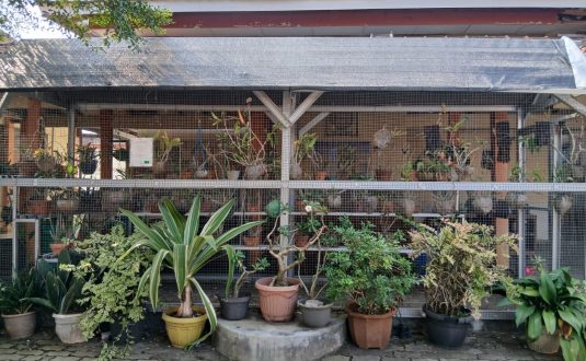 Green House 2