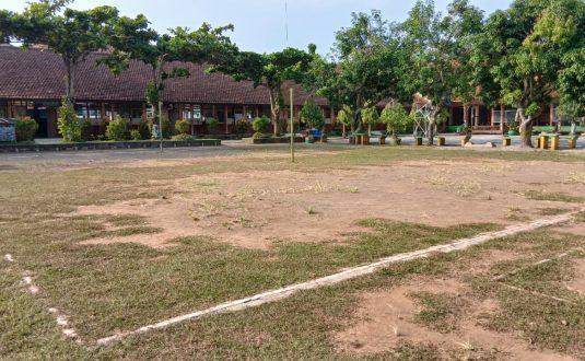 lapangan voli